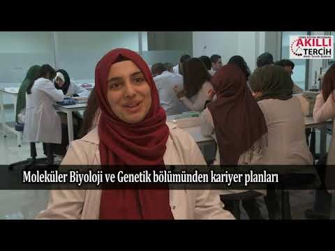 Moleküler Biyoloji ve Genetik öğrencilerinin kariyer planları