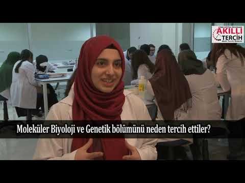 Moleküler Biyoloji ve Genetik bölümünü tercih etmeli miyim?