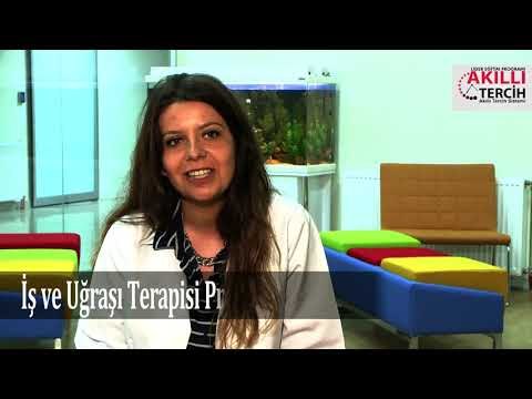 İş ve Uğraşı Terapisi öğrencilerinin kariyer hedefleri