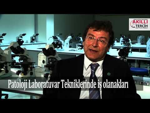 Patoloji Laboratuvar Teknikleri iş olanakları neler?