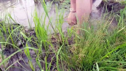 La technologie Primitive. Incroyable fille de la pêche