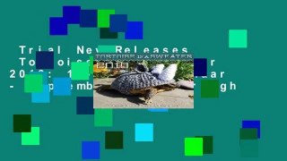 Trial New Releases  Tortoise in a Sweater 2019: 16-Month Calendar - September 2018 through