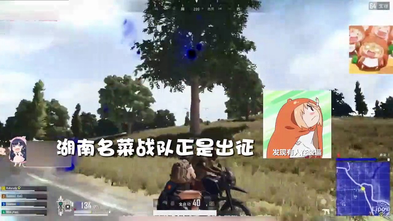 绝地求生团团：小团团遇幻影车神来无影去无踪,手枪击杀信手拈来！