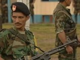 Las FARC decretan un alto el fuego durante las elecciones en Colombia