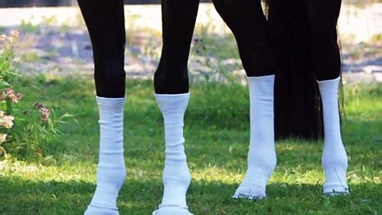 Sox For Horses!