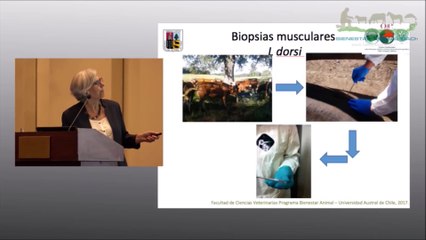4. CALIDAD DE CARNE - CARACTERÍSTICAS ORGANOLÉPTICAS