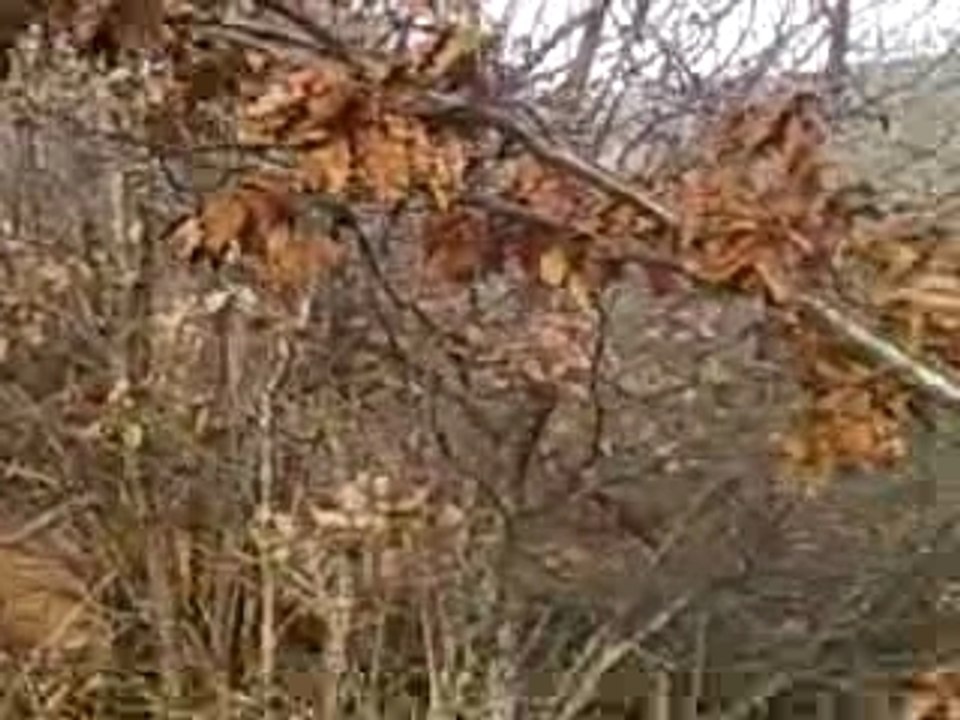 cross agen d aveyron, java #2