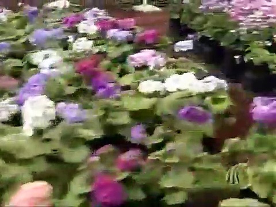 MIRADA DE MUJER CAPITULO 120