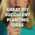 Amazing ||DIY SUCCULENT PLANTINGS IDEAS||