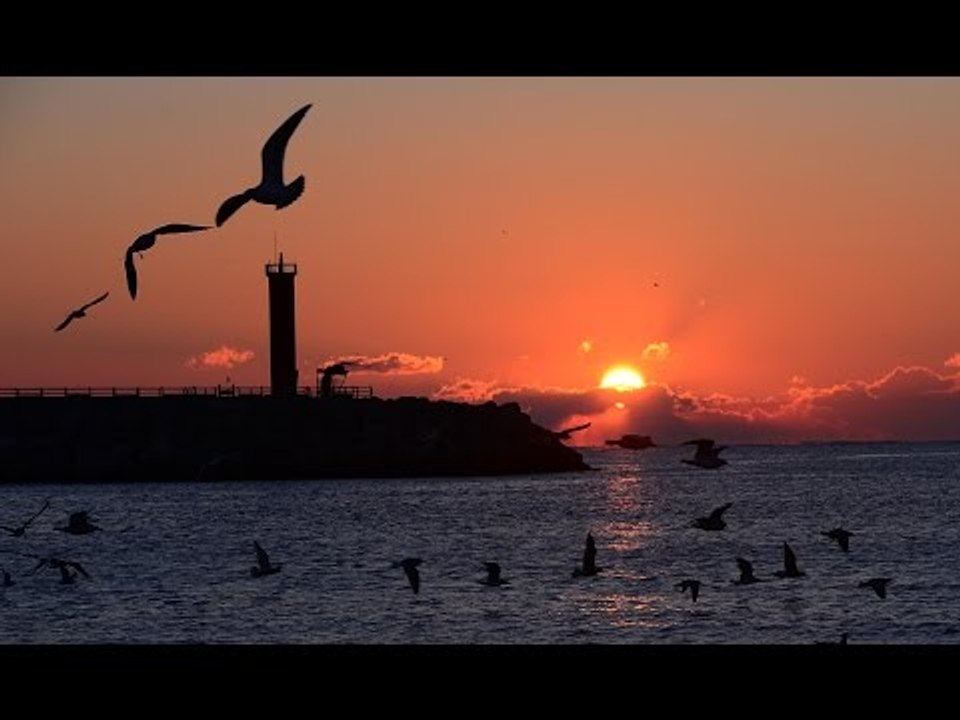 3색으로 물든 영덕 겨울바다