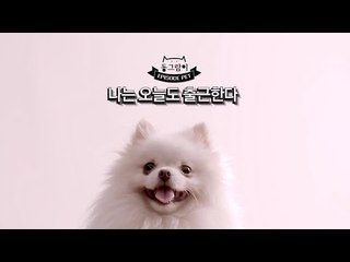 [EP.PET] 나는 오늘도 출근한다