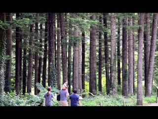 왕의 숲을 거닐다...광릉 국립수목원