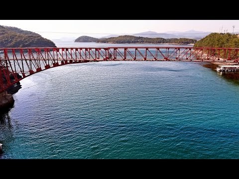 고향의봄 창원, 난리벚꽃 진해, 첫사랑 마산 창동