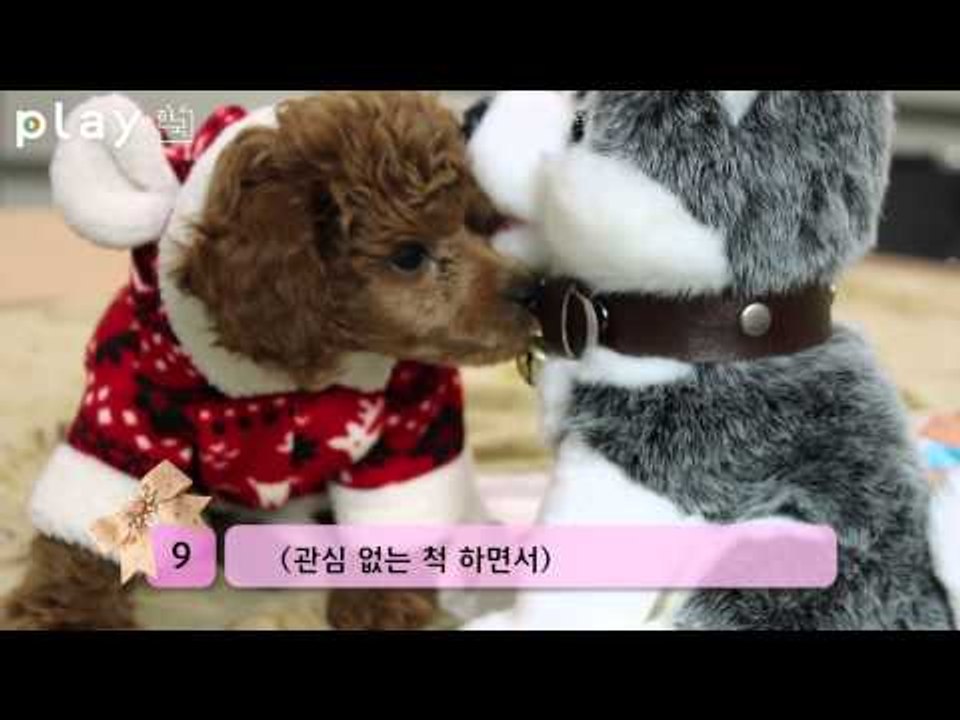 남자들이 모르는 여자들의 애교 노하우 12가지