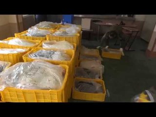 울산지방경찰청 밍크고래 압수물 이동 영상