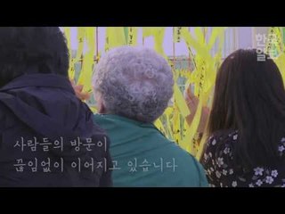”잊지 않겠습니다” 세월호 3주기 맞이하는 목포신항