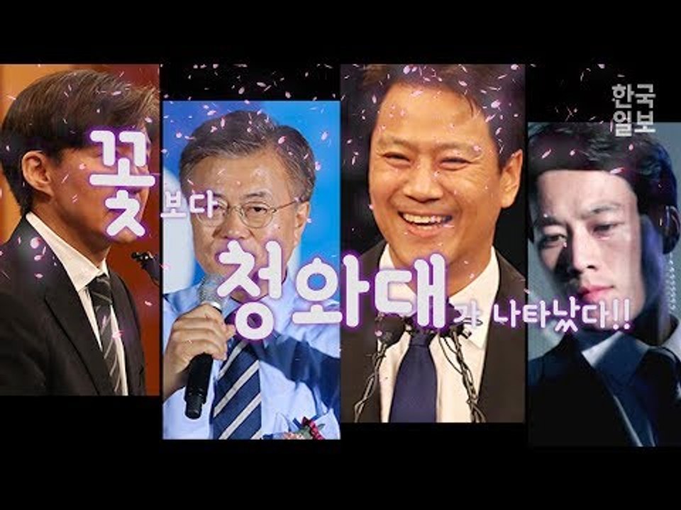 중국 대륙도 반한 꽃보다 청와대 (Feat. 문재인 대통령)