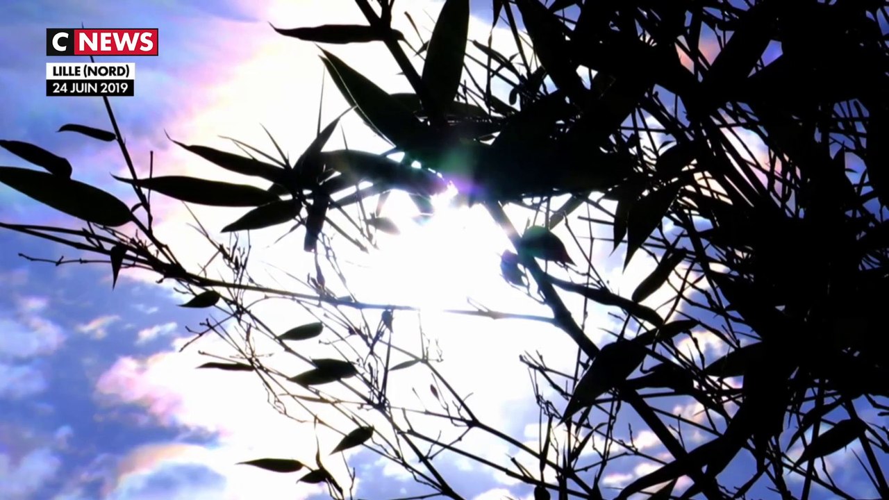 Canicule : les Hauts-de-France également touchés par l'épisode de fortes chaleurs,