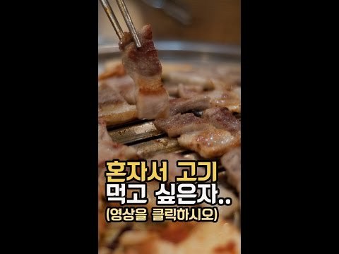 혼밥의 성지가 나타났다 [핫플 Race]