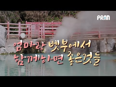 엄마랑 벳부 여행에서 함께하면 좋은 것들 추천!