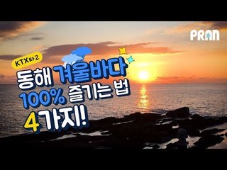 '정동진 일출? ㄴㄴ' 동해 겨울바다 100% 즐기는 꿀팁 4가지!!
