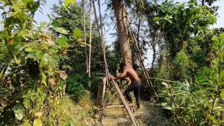 Building suspension house on the tree ( Ancient skill )