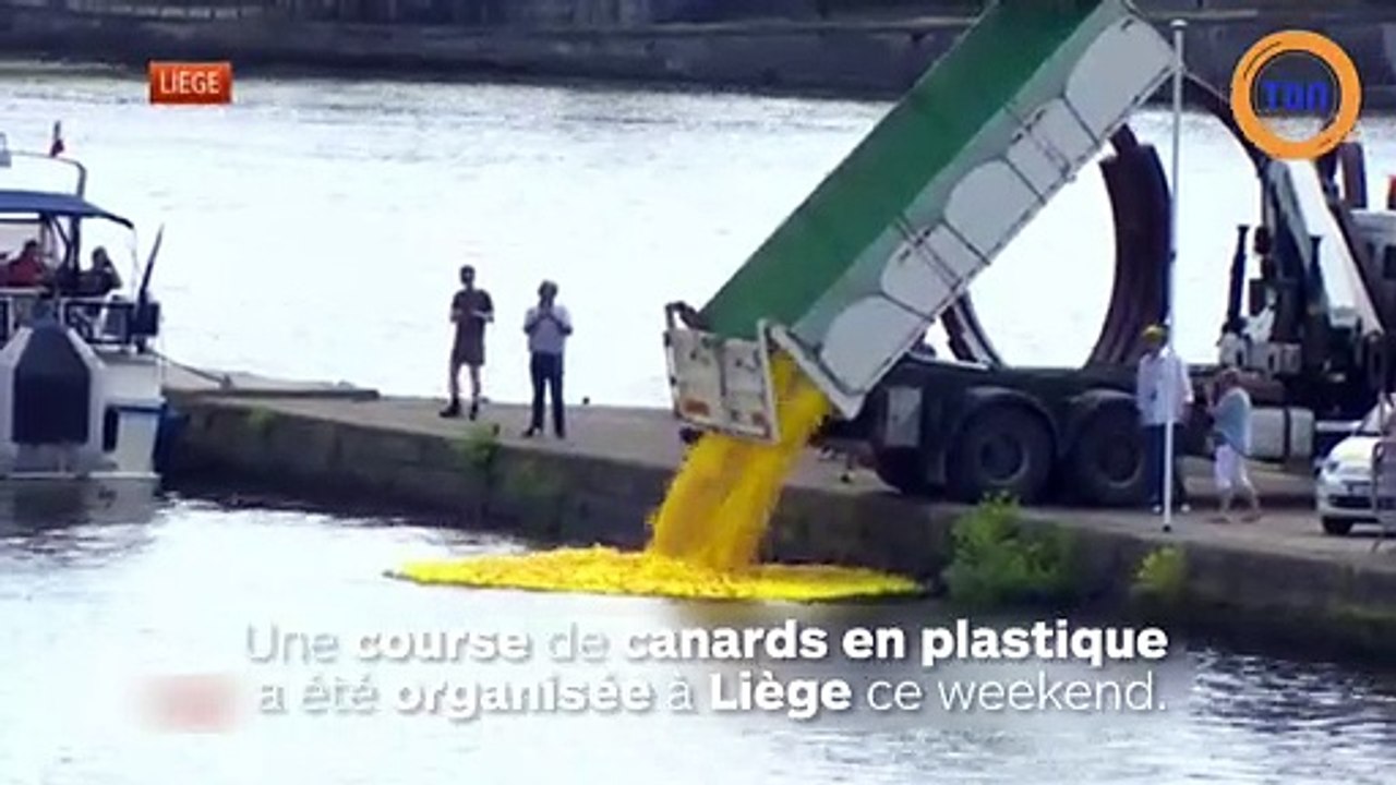 Une course de canards en plastique à Liège