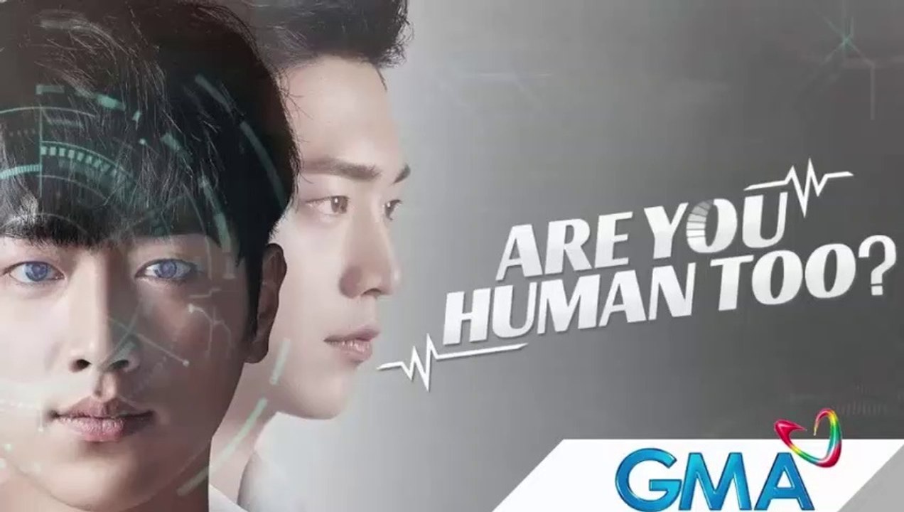 AYH17
