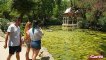 Las algas invaden la Isleta de los Patos en el Parque de María Luisa