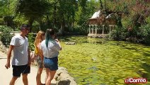 Las algas invaden la Isleta de los Patos en el Parque de María Luisa