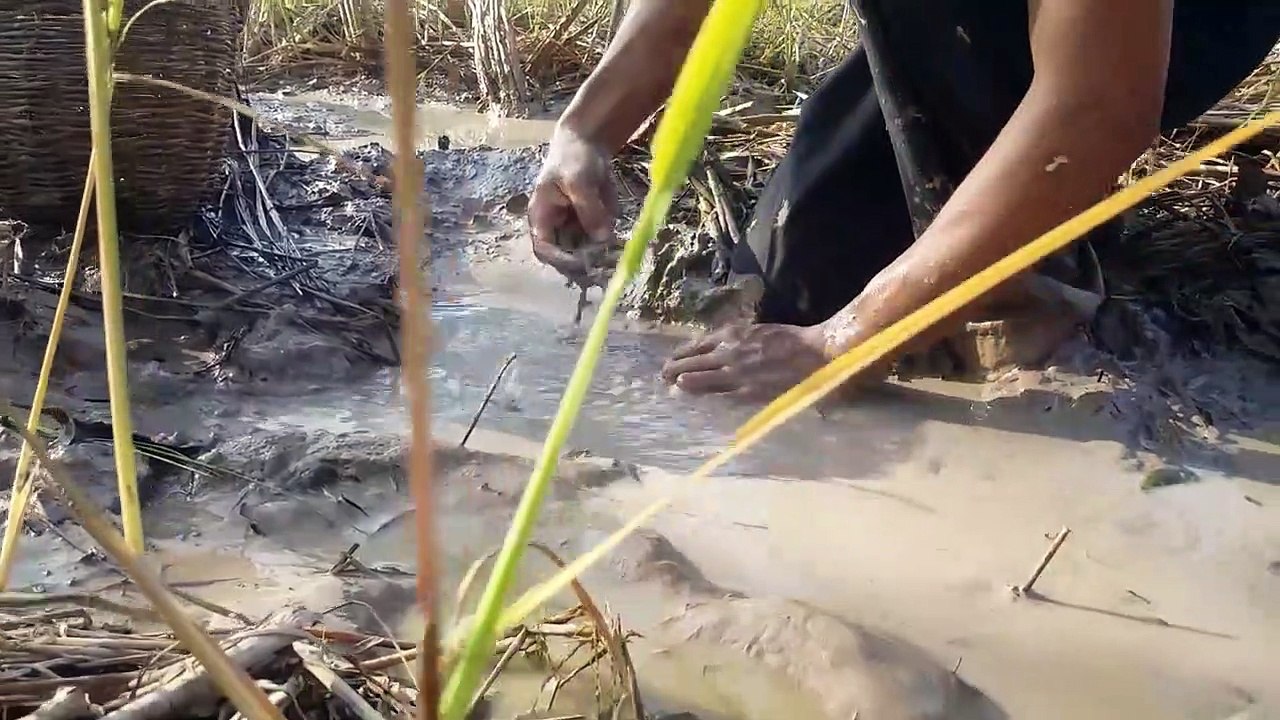 Primitive Times - Catch Fish By Hand