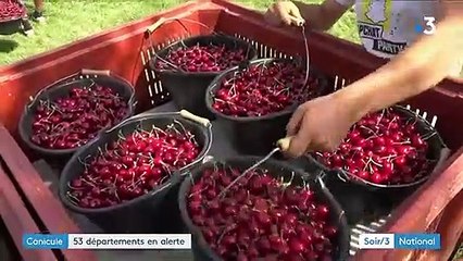Canicule : 53 départements placés en alerte orange