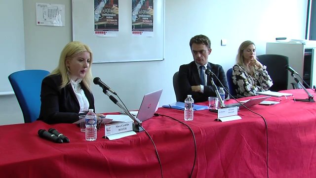Regard « politique » sur la jurisprudence des cours constitutionnelles américaines , Cynthia Boyer, Maître de conférences en sciences politiques, INU Champollion, Albi _QsQ #8_04-Séquence 02 bis-3