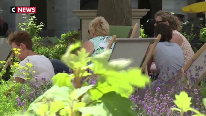 Canicule : Lyon sous plus de 30 degrés