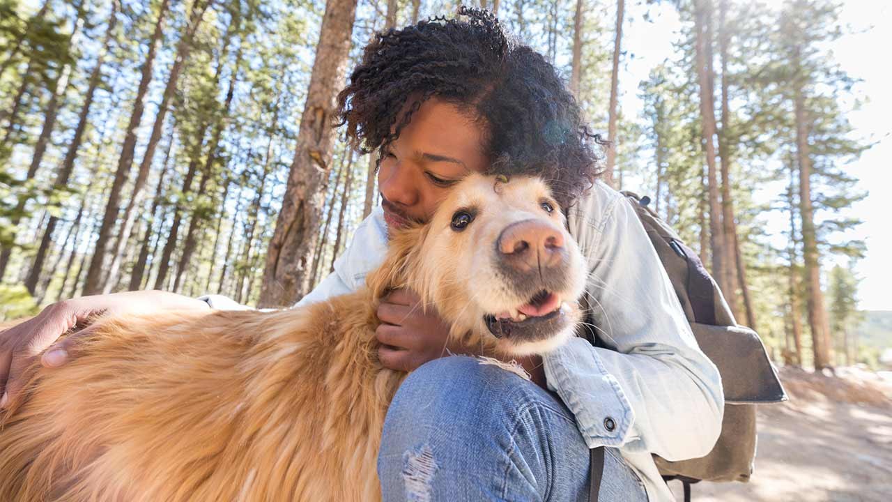 Posttraumatische Belastungsstörung: Das sind die besten Hunderassen