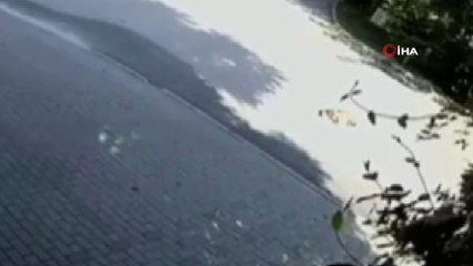 Otomobilin köpeği ezdiği anlar kamerada