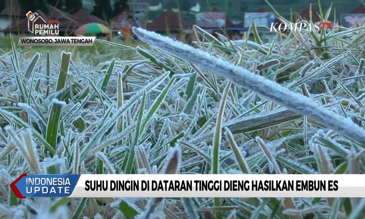 Suhu Dingin di Dataran Tinggi Dieng Hasilkan Salju