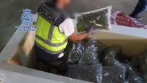 Interceptado un camión con 1.000 kg de hachís y 225 de marihuana
