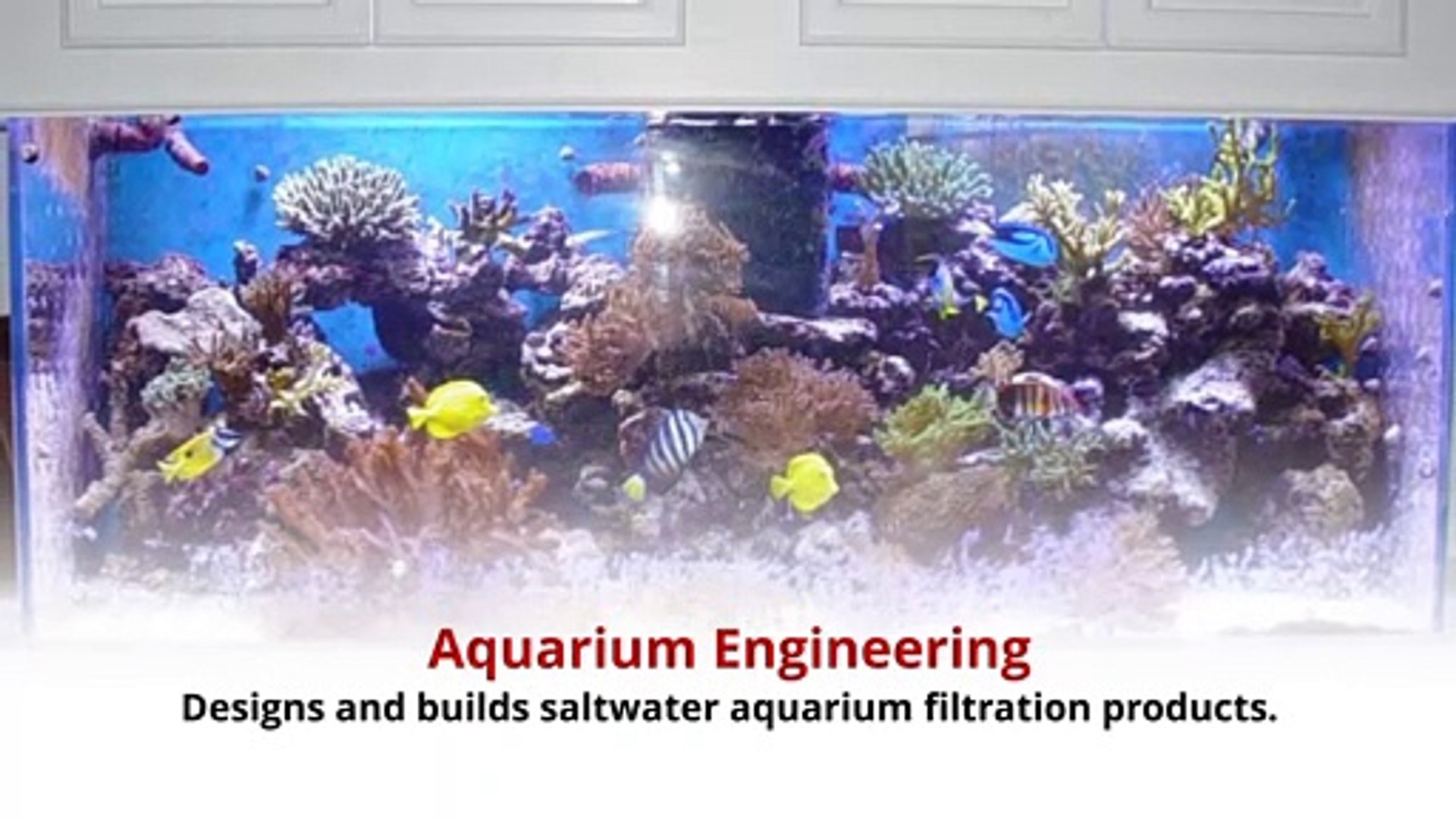 ⁣Aquarium Engineering - The Highest Quality Aquarium Products