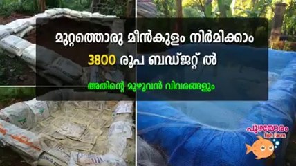 മുറ്റത്തൊരു മീൻകുളം നിർമിക്കാം 3800 രൂപ ബഡ്ജറ്റ് ൽ | How to make a small fish pond for beginners with cheap cost ?
