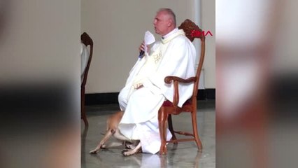 DHA DIŞ- Kilisede ayin sırasında oyun oynamak isteyen köpek kamerada