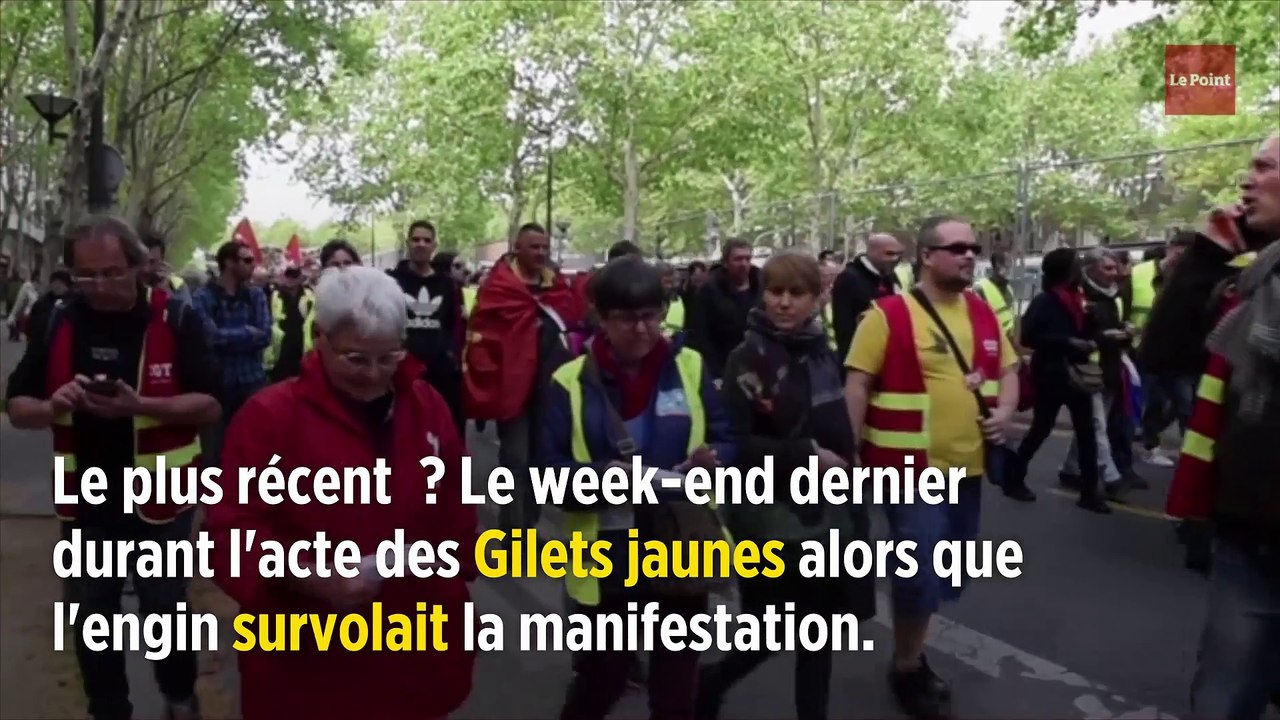 Paris : les goélands ont déclaré la guerre aux drones de la police