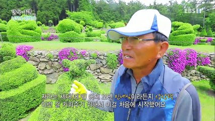 한국기행 - Korea travel_나무에 취하다 3부- 나의 낙원으로 놀러오세요_#002