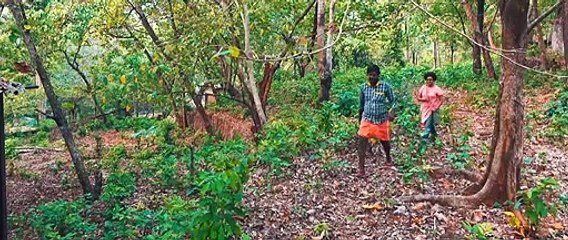 BOLIVIA 3D | MALAYALAM MOVIE TRAILOR