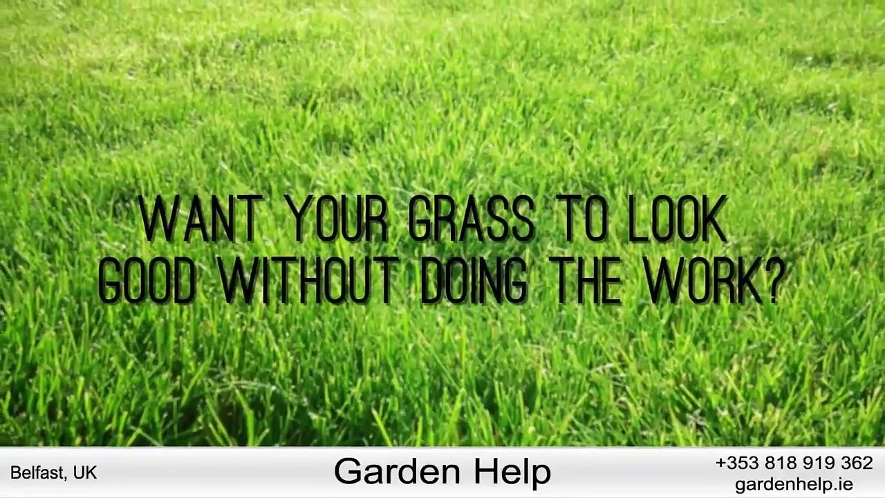 Gardening_and_Landscaping_Services_in_Belfast_-_Call___