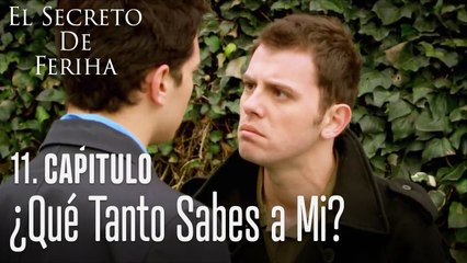 ¿Qué tanto sabes a mi - El Secreto De Feriha Capítulo 11