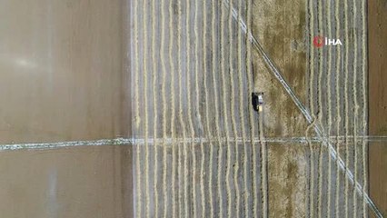 Tarımda bilinçsiz yapılan ilaçlama çiftçiyi perişan ediyor