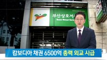 캄보디아에 묶인 부산 서민의 6500억…총력 외교 시급