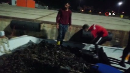 Tekirdağ’da bir tekne dolusu kaçak midye ele geçirildi
