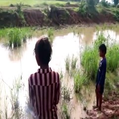 Animal Surrounding - Brave Children Catch Biggest Python Underwater - When Swimming At The Canal